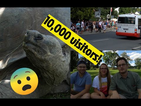 Video: How To Get To The Zoo In Prague