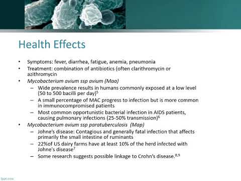 Video: Klinične Značilnosti In Rezultati Zdravljenja Bolnikov Z Makrolidno Odporno Pljučno Boleznijo Mycobacterium Avium: Sistematični Pregled In Metaanaliza