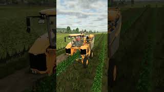LS25 Macht DIESEN Fehler bloß nicht bei Trauben! 🍇⚠️#LS25 #FarmingSimulator25 #GamingTipps #Trophäen