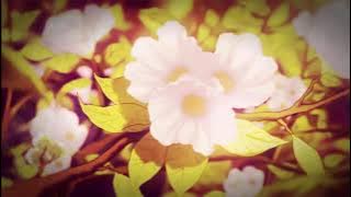 mimi bay - in your neighbours garden (slowed & reverb)