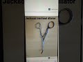 ENT INSTRUMENT - Jackson tracheal dilator