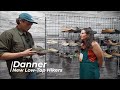 Danner OMA S25 New Low Top Styles Resoling Options And Line Expansions Danner OMA S25 New Low Top Styles Resoling Options And Line Expansions