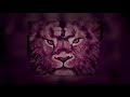 Les étapes pour créer le lion / Shirley ach