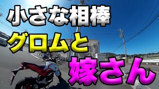 小さな相棒グロムと嫁さん（グロムを選んだもう一つの理由）】空波鳥の呟き2021