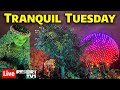 🔴Live: Tranquil Tuesday at Epcot - 10-17-23 - Walt Disney World Live Stream