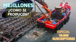 ✅MEJILLONERO POR UN DIA🌊 UN OFICIO DEL MAR🔴[BATEEIRO]