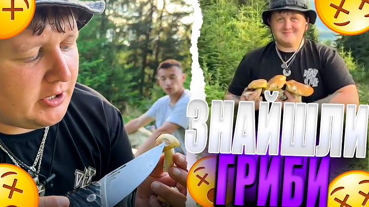 МІША ЛЕБІГА Й АНДРІЙ ЛУЗАН ЗІБРАЛИ ГРИБИ!!!