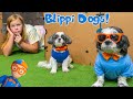 Assistant and Blippi Dogs Wiggles and Waggles Play Hide N Seek