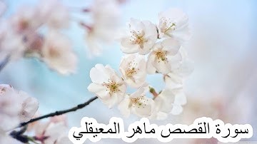 سورة القصص ماهر المعيقليQURAN Surat Al-Qasas