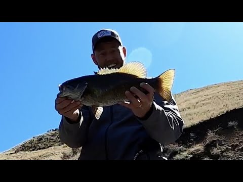 Prespawn Smallmouth Bass Fishing on Brownlee Reservoir