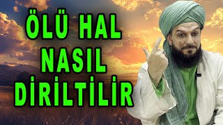 5072. Ölüden Di̇ri̇yi̇ Çikarmaktan Murad Edi̇len Nedi̇r?