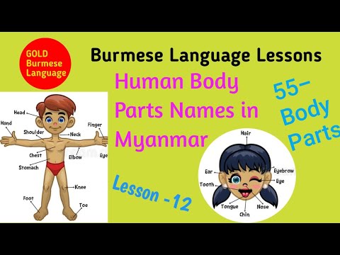 Burmese Language Lessons, Human Body Parts Names