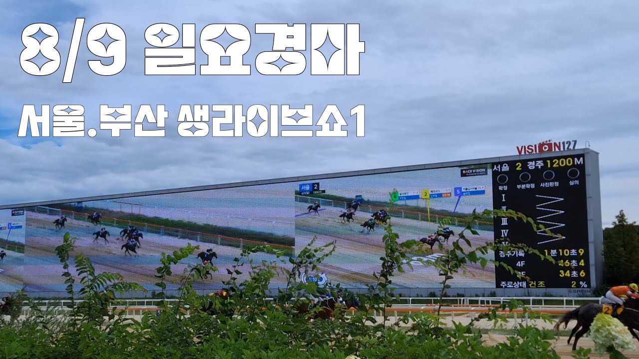 8/9 일요경마 서울.부산 생라이브쇼1 