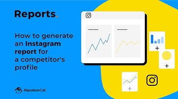 Reports - How to generate an Instagram report for a competitor