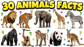 30 Amazing Animal Facts | Animals Facts for Kids | Educational Video for Kids
