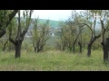 Hustopecsk´a Hustopecsk´y magaz´in
