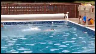 IMG 4831