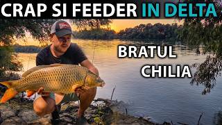THREE DAYS IN THE DANUBE DELTA - CARP AND FEEDER FISHING ON THE CHILIA BRANCH!