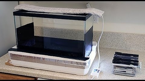How to Build and Use a Cloud Chamber