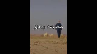 حنا بها الدنيا ضيوف ورحايل