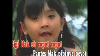 Lagu Anak anak INDONESIA : COPOT COPOT