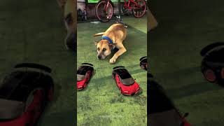 3D Camera Tracking & Animation Test | After Effect & 3D Element | Skill Learning Part 6