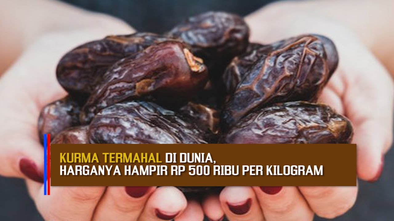 Kurma Termahal di Dunia, Harganya Hampir Rp 500 Ribu Per