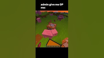 noooooooo the server