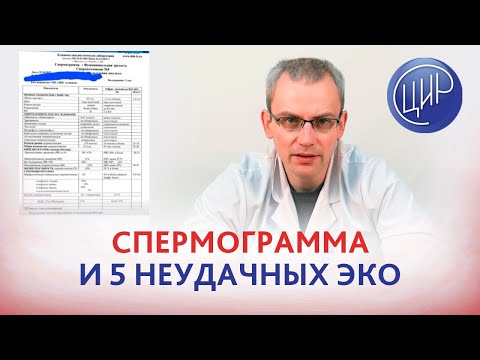 Разбор спермограммы после 5 неудачных криопротоколов с переносом по 2 эмбриона Живулько А Р