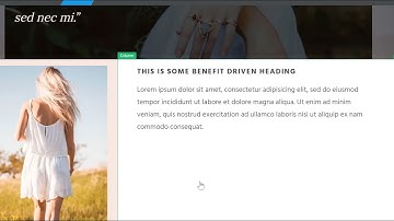 Thrive Architect - Trình tạo Lading Page đơn giản