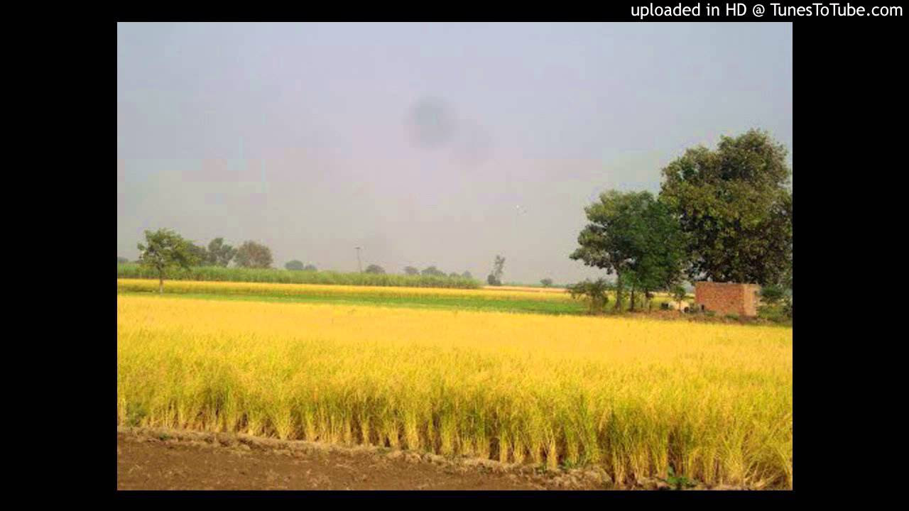 Andar Jawan Punjabi Folk Song