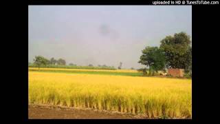 Andar Jawan Punjabi Folk Song