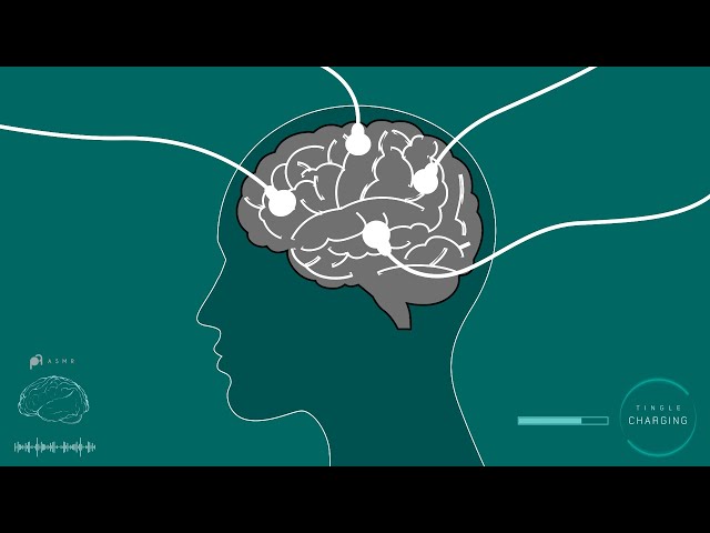 Your brain is lacking tingles. 𝗔𝗦𝗠𝗥