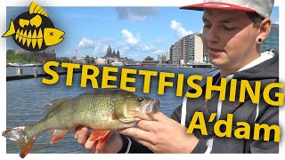 Streetfishing Amsterdam - De jacht naar snoekbaars en baars