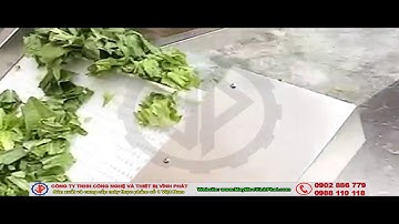 Máy rửa rau công nghiệp, máy rửa củ quả, trái cây tích hợp sục khí ozone diệt khuẩn