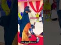 Somali Girl Dance Shorts Tiktok Niiko Foryou