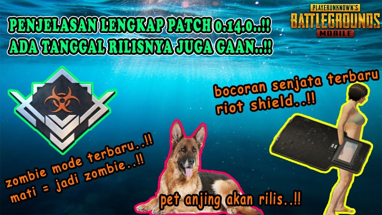Bocoran Patch 0 14 0 Zombie Mode Terbaru Riot Shield Pet