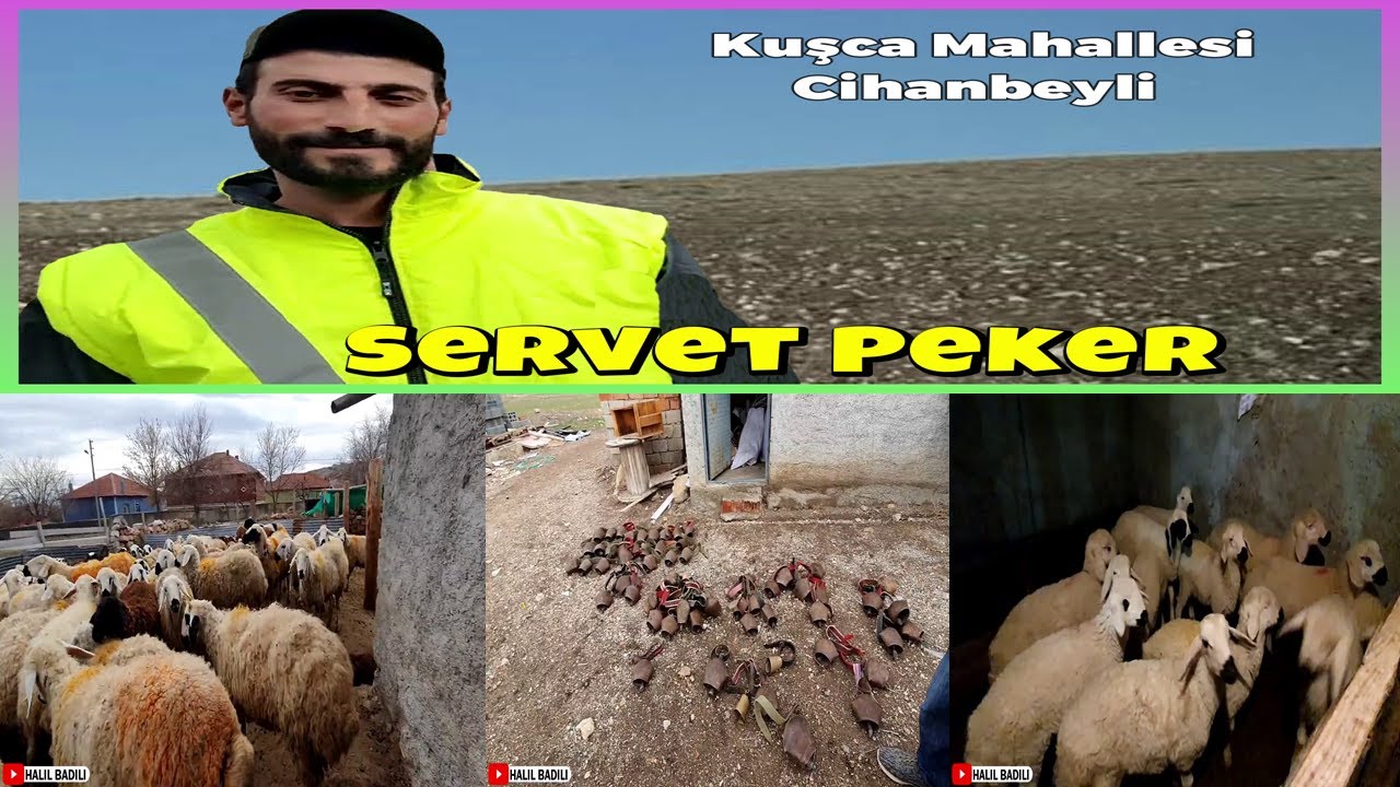 Cihanbeyli-Kuşca Mahallesi-Servet Peker