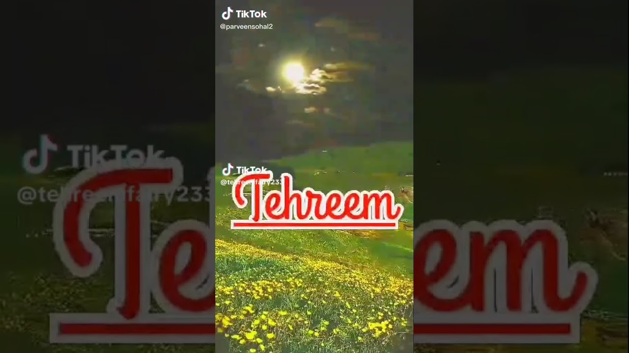 im the best brand logo maker