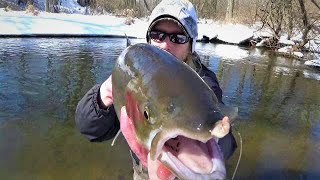 Winter Small Stream HUGE Steelhead Fishing!