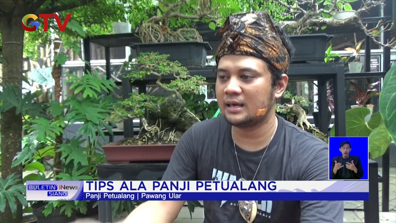 Tips Ala Panji Petualang dalam Atasi Ular yang Masuk ke Rumah 