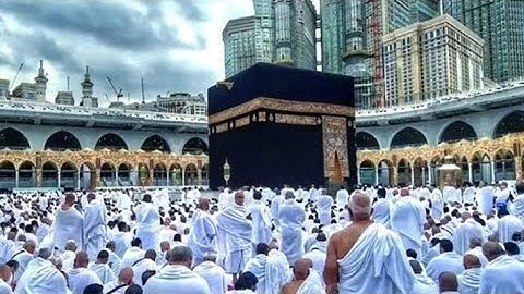 Abdullah Pata NE fode naariyal full video.#short #jaidmeel #shortvideo 