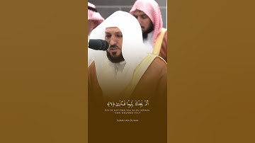 سورة الضحى الشيخ ماهر المعيقلي #اكسبلور #المصحف #القران #حالات_واتس #راحة_نفسية #لايك #خطبه #دويتو