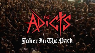 The Adicts - Joker in the Pack (LIVE) - May 2025