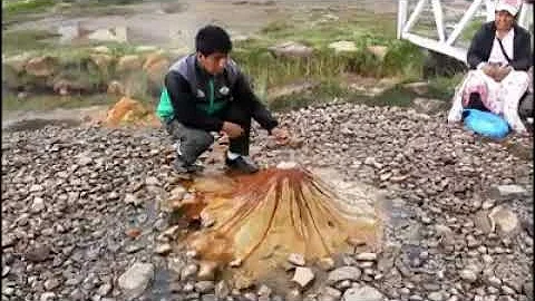 ¿Cuánto mide el volcán más pequeño del mundo?