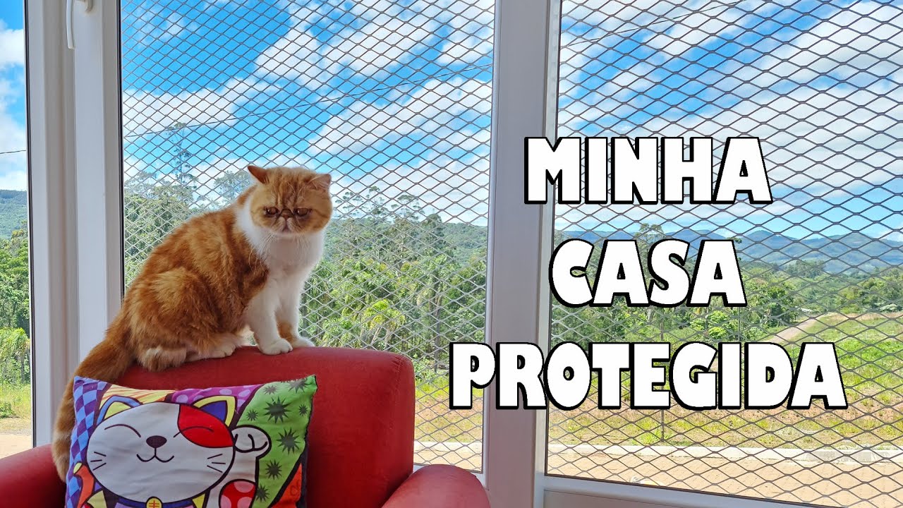 Casa SEGURA para GATO NÃO ir na rua. MOSTREI tudo que fiz na minha casa NOVA - Gatil Hauser