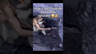Breath manually #funny #memes #fyp #actingchallenge #shorts