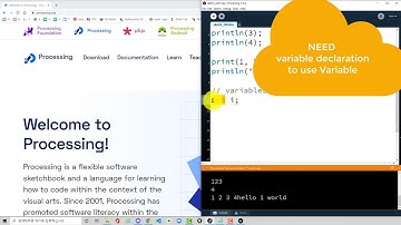 Processing Language 05: print( ), println() functions