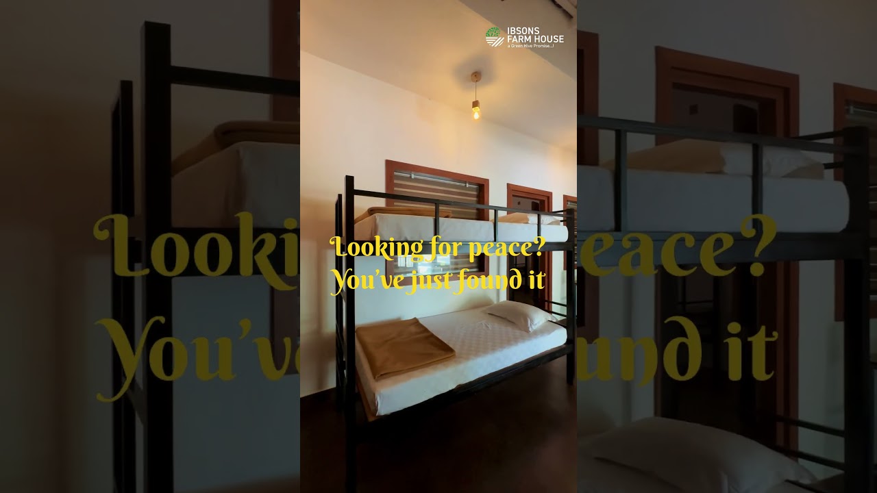 🌿 Looking for peace? Find it at Ibsons