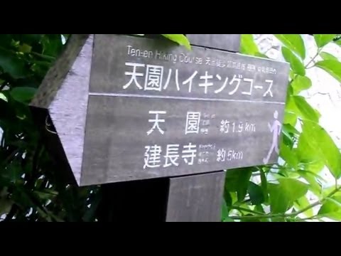 Hd 鎌倉 天園ハイキングコース 明月院口から瑞泉寺口まで5km Youtube